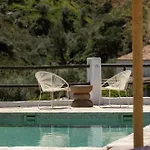 Among Olive Groves In Axarquia *